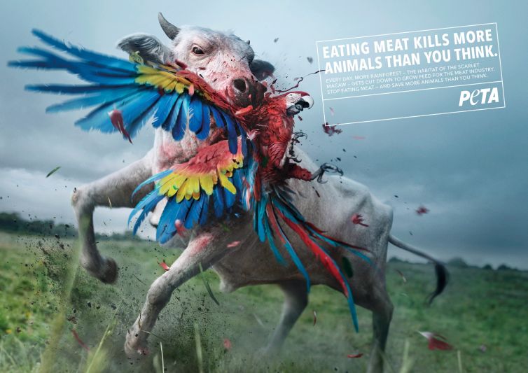 Client provided design of cow attacking parrot