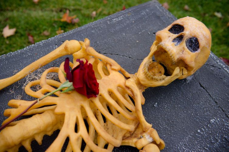 Prop skeleton with rose