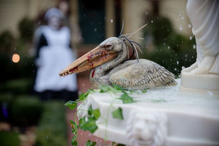 Evil pelican in water fountain