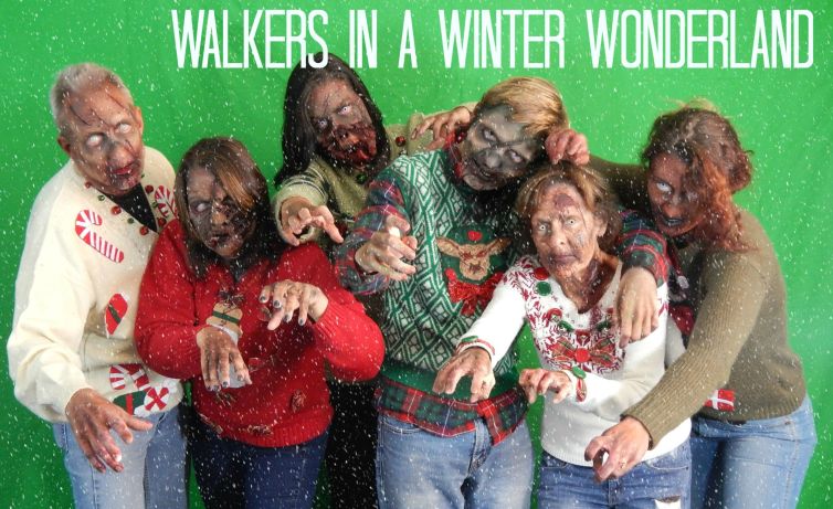 Walkers in a winter wonderland