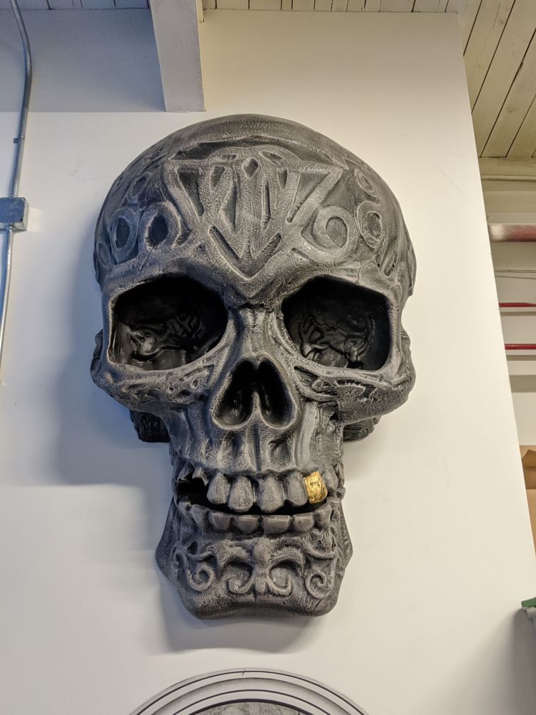 Skull hanging around the shop