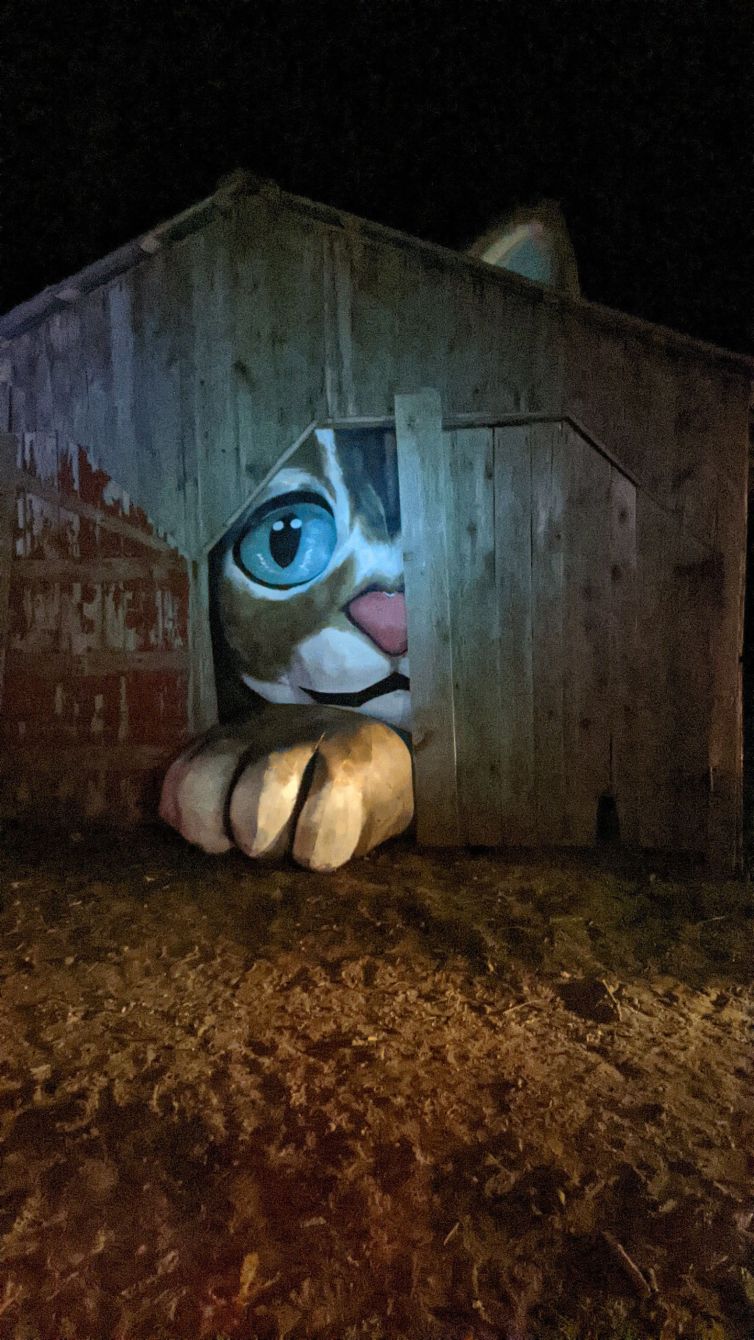 Completed giant cat peeking out of barn