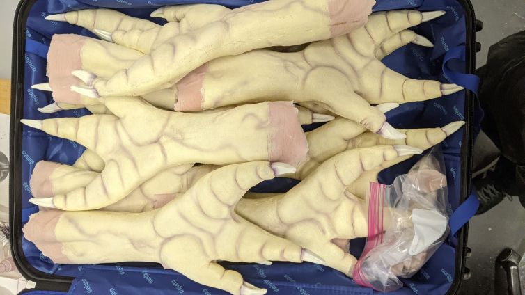 Packing the pre-painted Gari Devan hand prosthetics