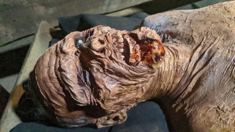 Closeup of Thuppan Thamburan prosthetic makeup